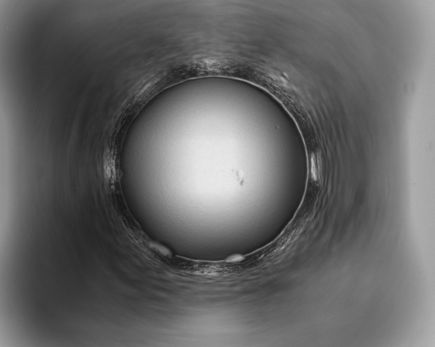 X0000093161155200710171204