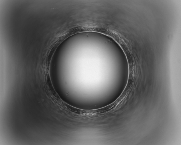 X0000093161157200710171204