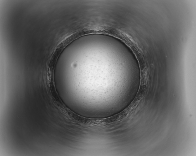 X0000093161158200710171204
