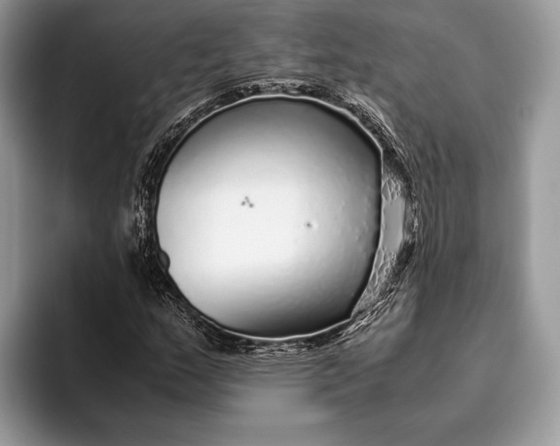 X0000093161159200710171204