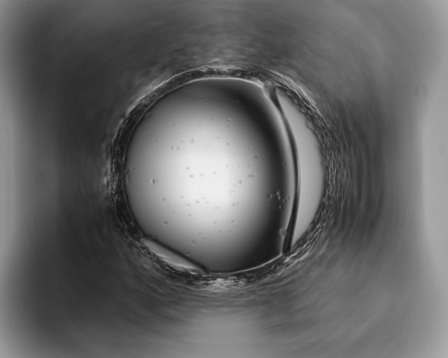 X0000093161160200710171204