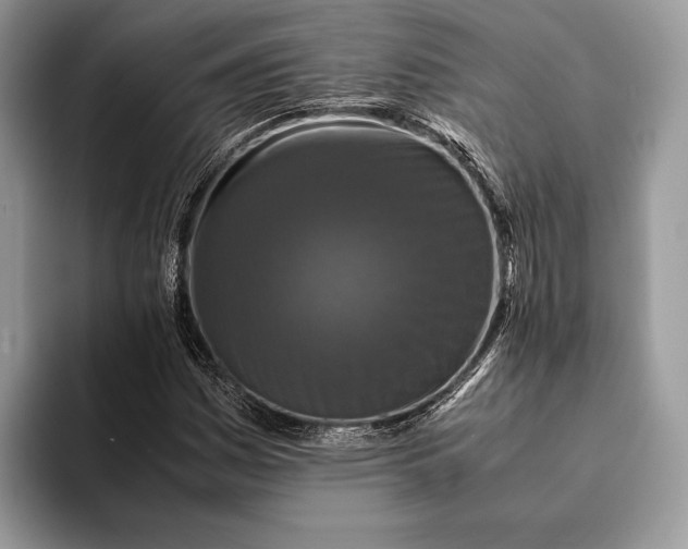 X0000093161161200710171204