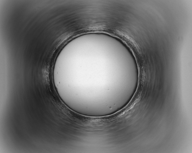 X0000093161162200710171204