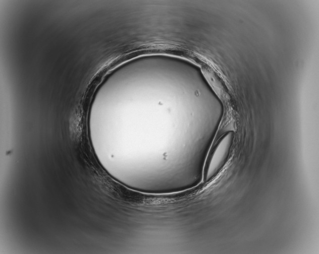 X0000093161163200710171204