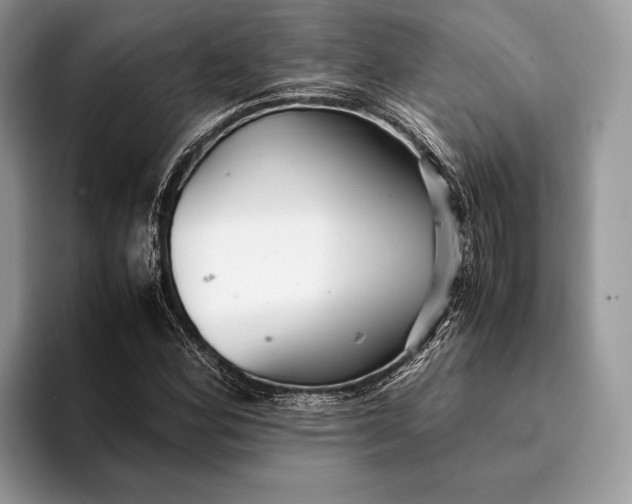 X0000093161164200710171204
