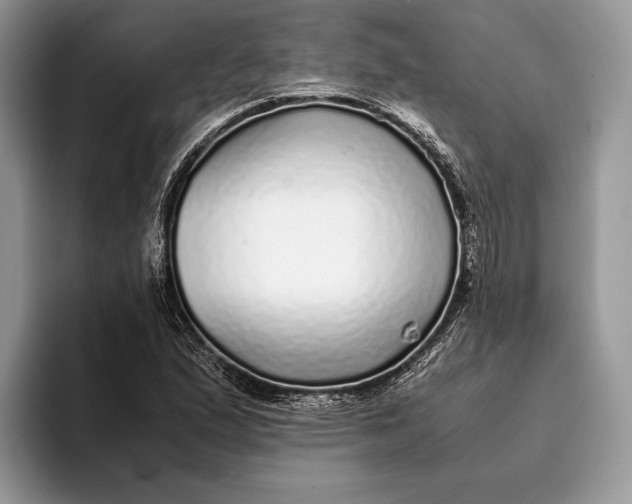 X0000093161167200710171204