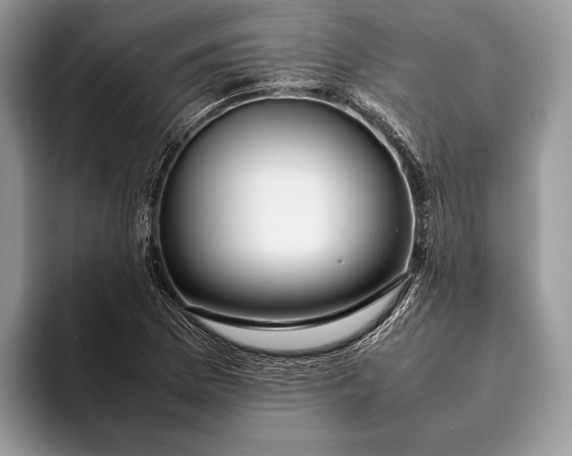 X0000093161169200710171204