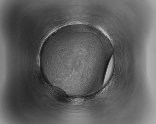 X0000093161173200710171204