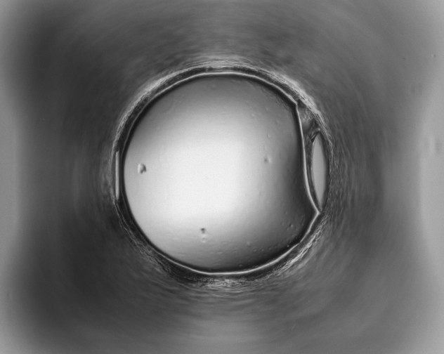 X0000093161175200710171204