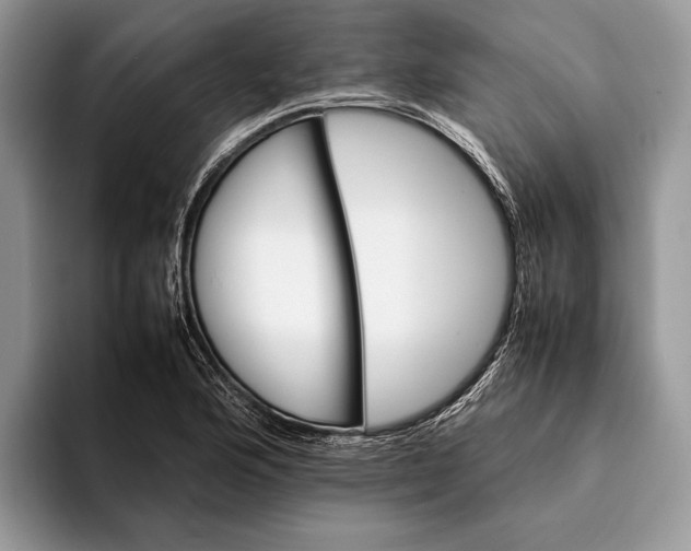 X0000093161176200710171204