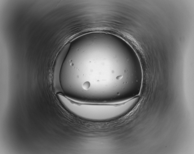 X0000093161177200710171204