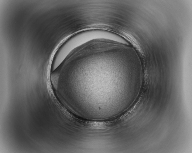 X0000093161180200710171204