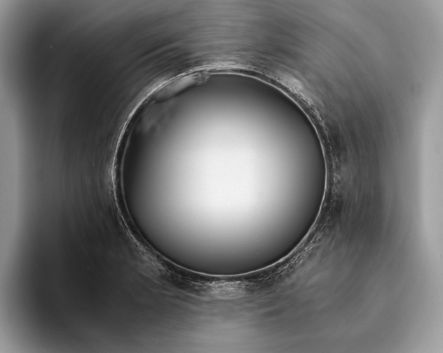 X0000093161181200710171204