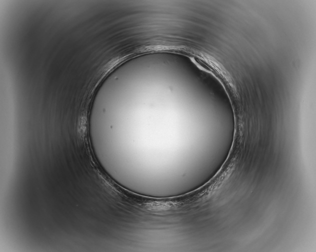X0000093161185200710171204