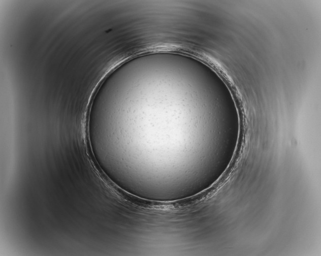 X0000093161186200710171204