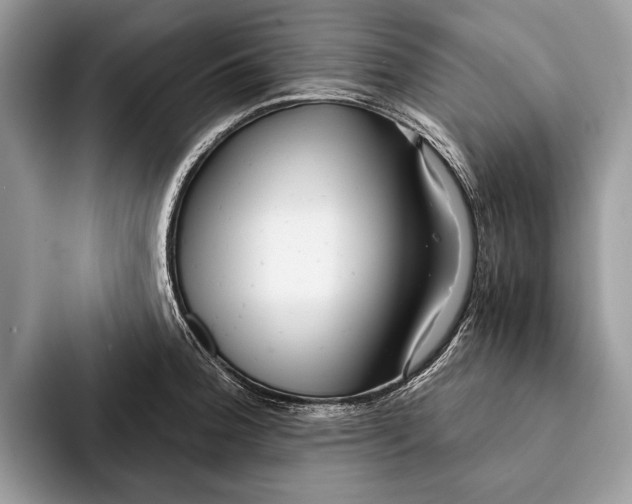 X0000093161188200710171204