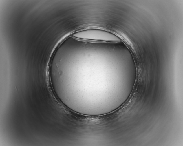 X0000093161190200710171204