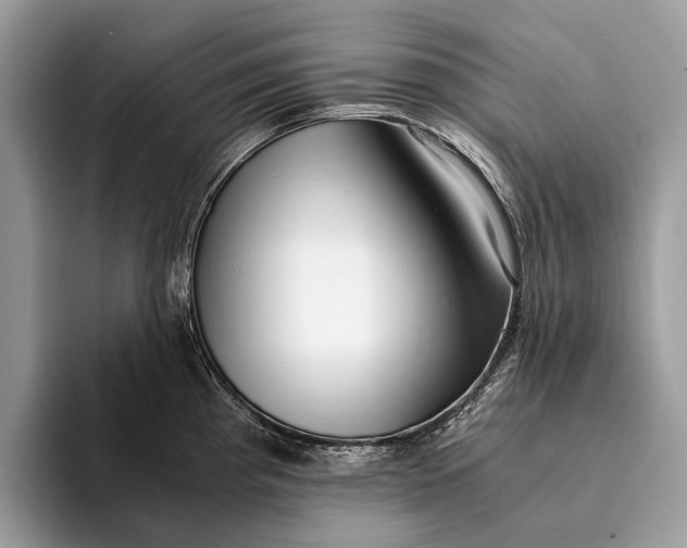 X0000093161193200710171204