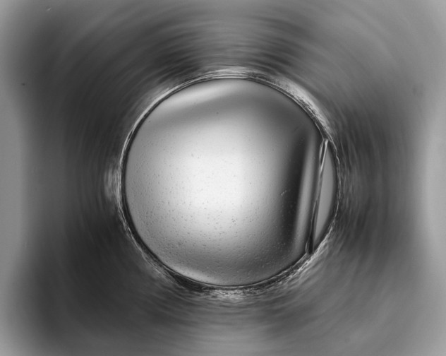 X0000093161194200710171204