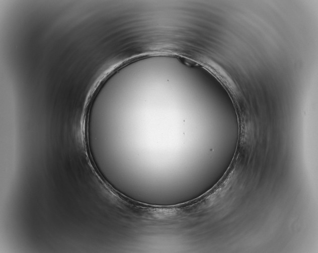 X0000093161196200710171204