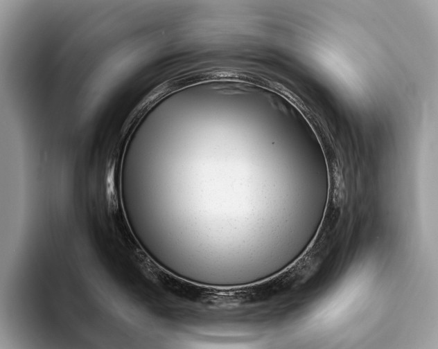 X0000093161198200710171204