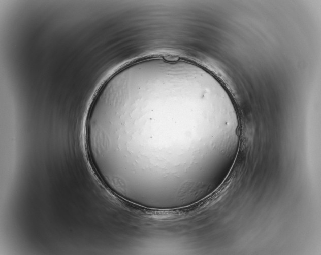 X0000093161199200710171204