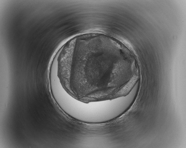 X0000093161200200710171204