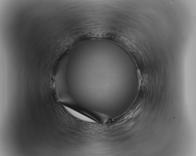 X0000093161202200710171203