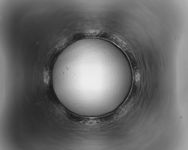 X0000093161204200710171203