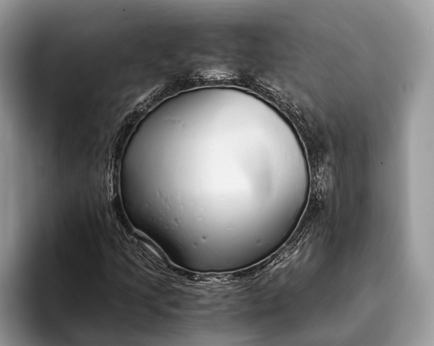 X0000093161205200710171203