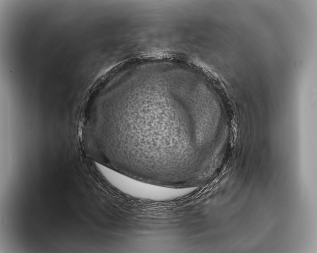 X0000093161206200710171203