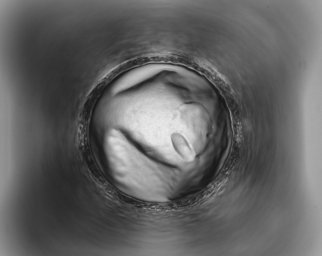 X0000093161208200710171203