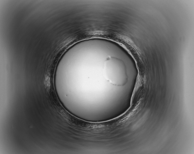 X0000093161209200710171203