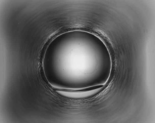 X0000093161210200710171203