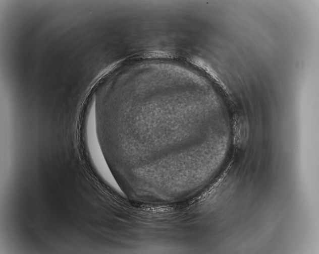 X0000093161213200710171203