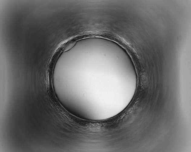X0000093161214200710171203