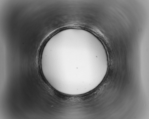 X0000093161216200710171203