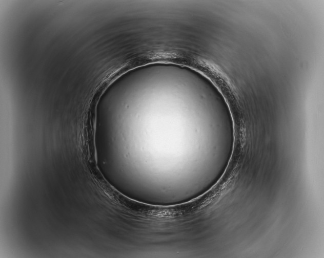 X0000093161217200710171203