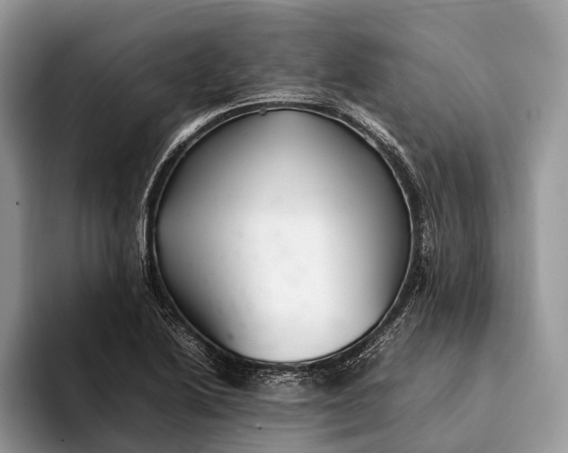 X0000093161222200710171204