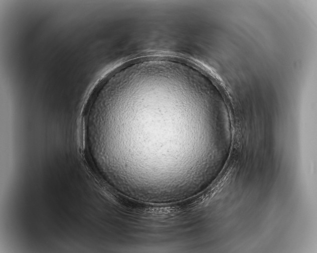 X0000093161223200710171204