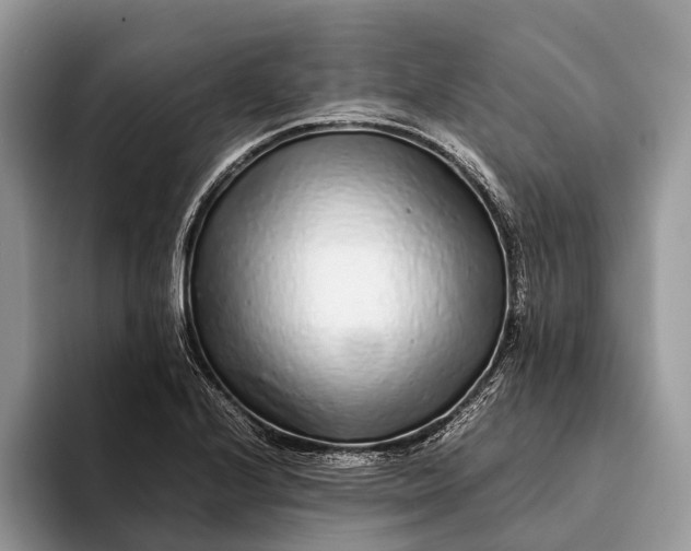 X0000093161224200710171204