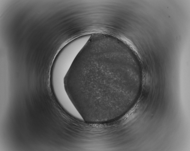 X0000093161226200710171204