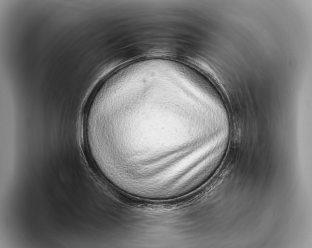 X0000093161227200710171204