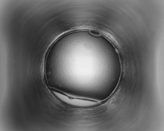 X0000093161228200710171204