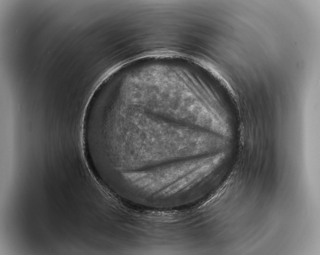 X0000093161229200710171204