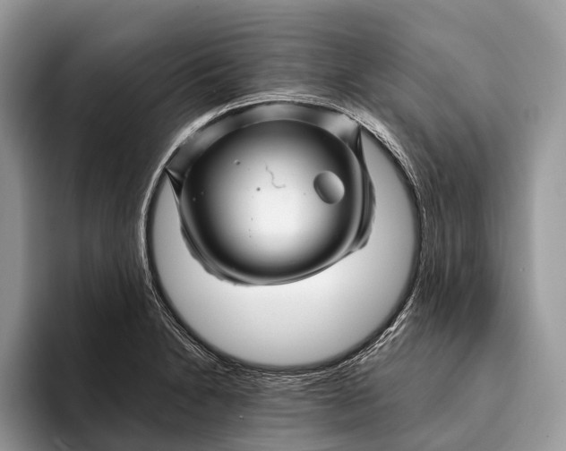 X0000093161230200710171204