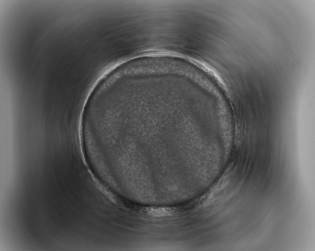 X0000093161231200710171204