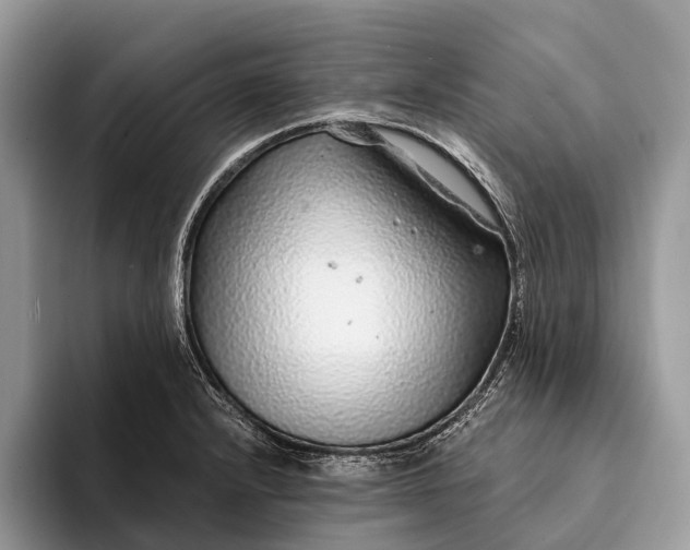X0000093161232200710171204