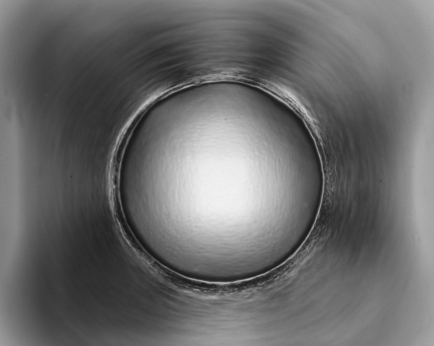 X0000093161235200710171204