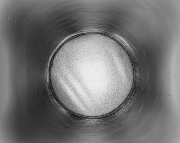X0000093161236200710171204
